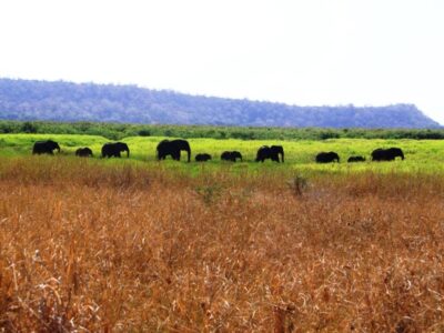 Wyprawa ANGOLA W PIGUŁCE